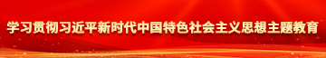 美女骚逼免费视频学习贯彻习近平新时代中国特色社会主义思想主题教育